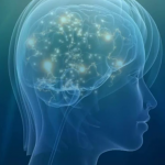 brainactivity